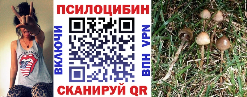 где купить наркоту  Воркута  Галлюциногенные грибы GOLDEN TEACHER 